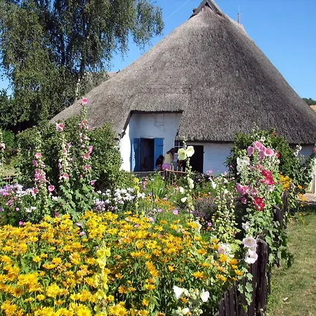 Auf Dem Reddevi Neu Reddevitz